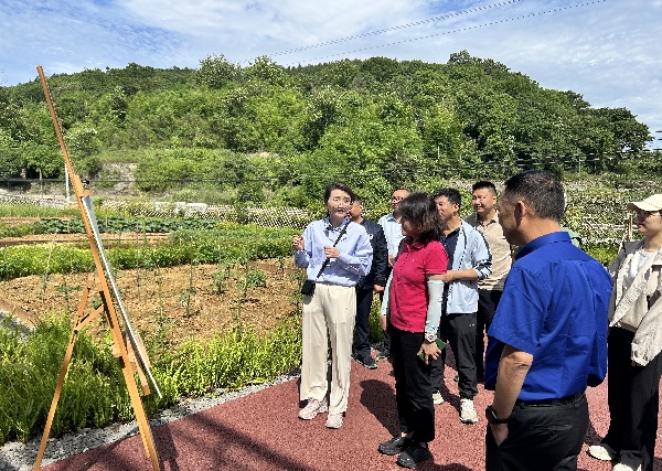2024.06.06  国家自然资源部矿业权司一级调研员程越一行调研大业矿山_1.jpg